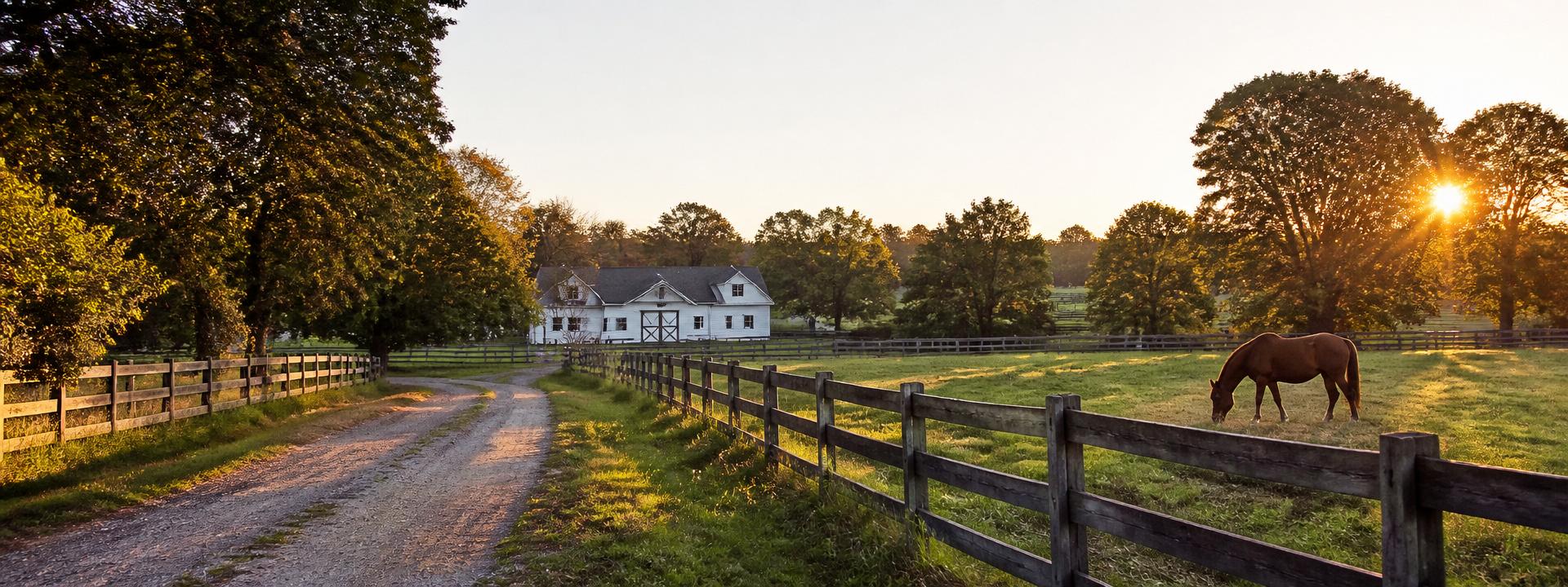 Virginia horse farm with white barn and split-rail fencing at golden hour.